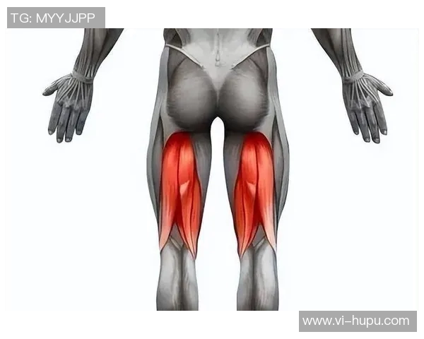 毕包官方:拉波尔特左大腿腘绳肌损伤,后续恢复情况有待观察 毕包官方:拉波尔特左大腿腘绳肌损伤,后续恢复情况有待观察